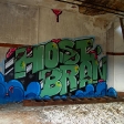 host18-bran-asylum09-lo