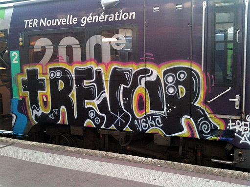 GRAFFITI-TRAINS-LYON-511